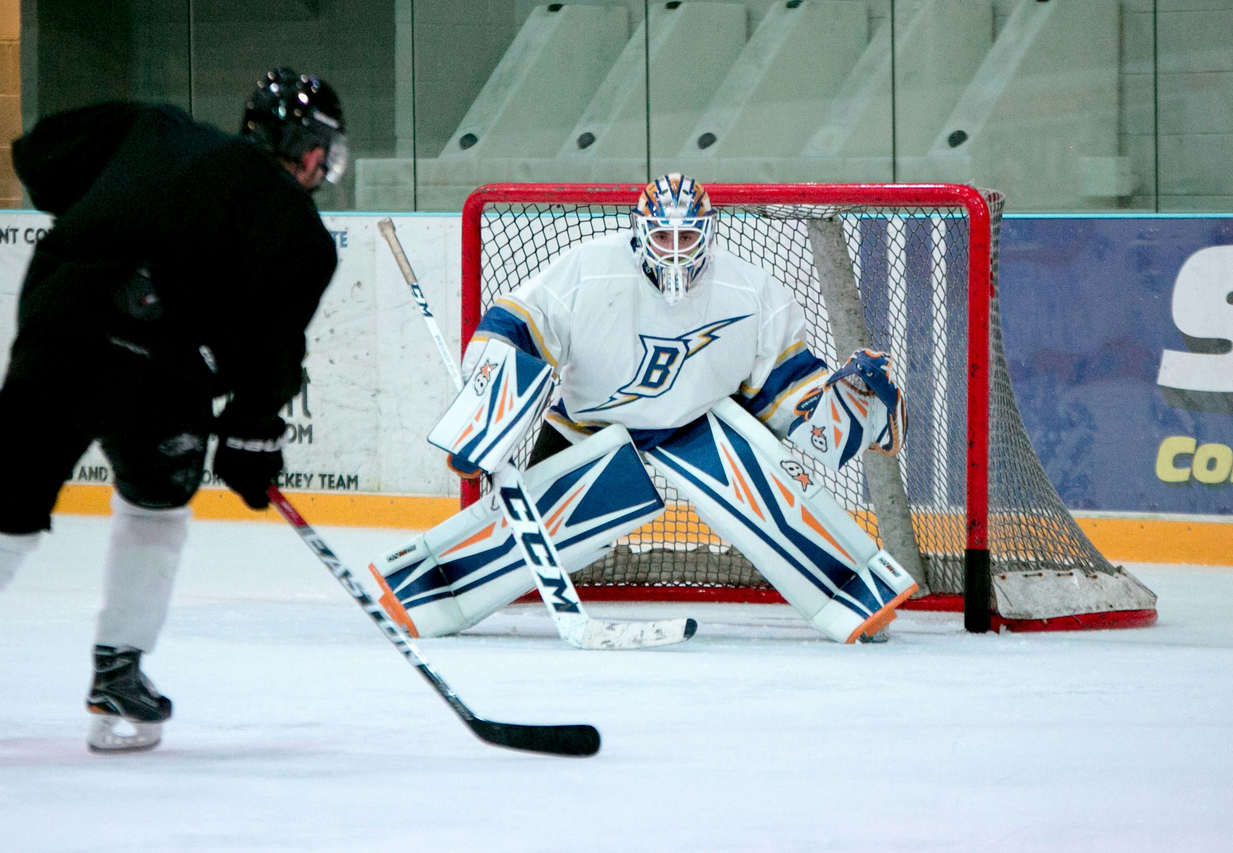 Professional sports league